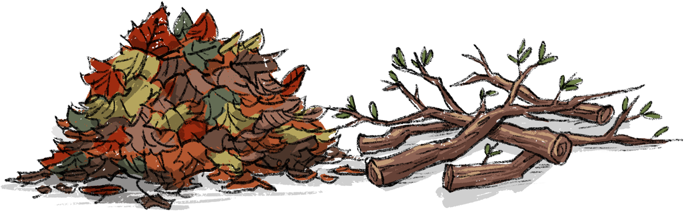 Leaves and Tree Branches